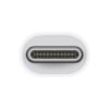 Apple Thunderbolt 3 USB C to Thunderbolt 2 Adapter 1 Apple Thunderbolt 3 USB C to Thunderbolt 2 Adapter 1